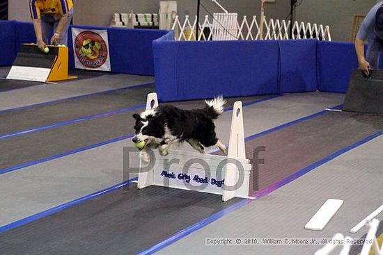 MCRD Unplugged Flyball Tournement<br />March 20th, 2010