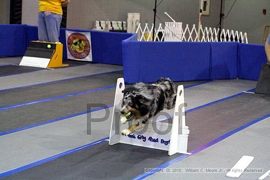 MCRD Unplugged Flyball Tournement<br />March 20th, 2010