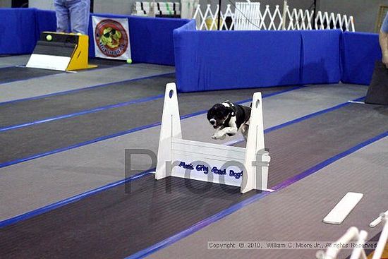 MCRD Unplugged Flyball Tournement<br />March 20th, 2010