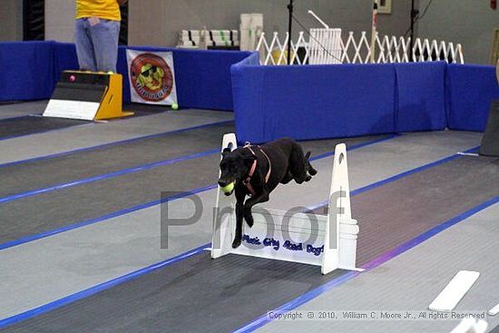 MCRD Unplugged Flyball Tournement<br />March 20th, 2010