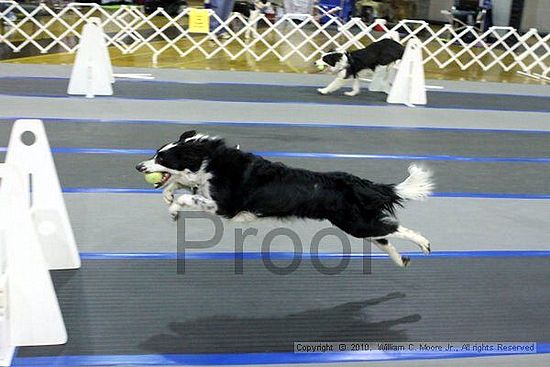 MCRD Unplugged Flyball Tournement<br />March 20th, 2010