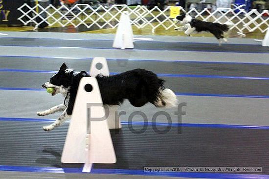 MCRD Unplugged Flyball Tournement<br />March 20th, 2010