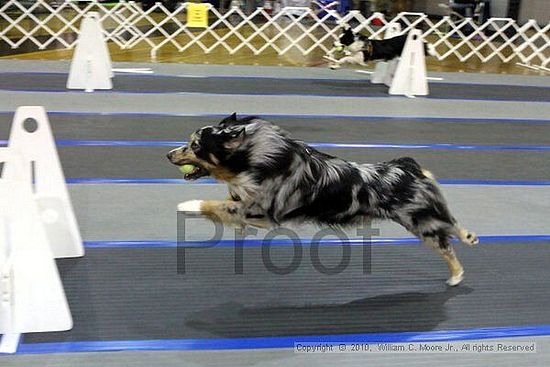 MCRD Unplugged Flyball Tournement<br />March 20th, 2010