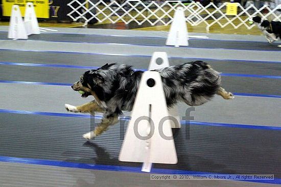 MCRD Unplugged Flyball Tournement<br />March 20th, 2010