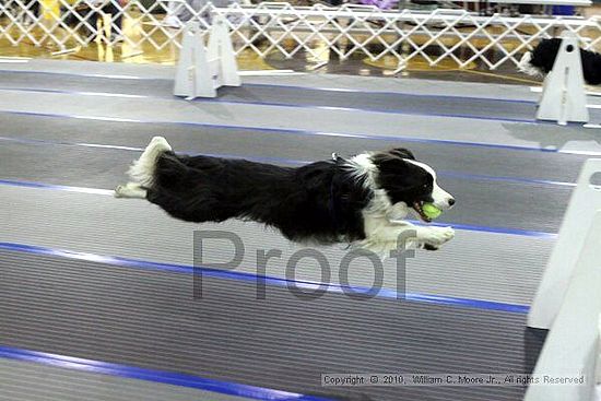 MCRD Unplugged Flyball Tournement<br />March 20th, 2010