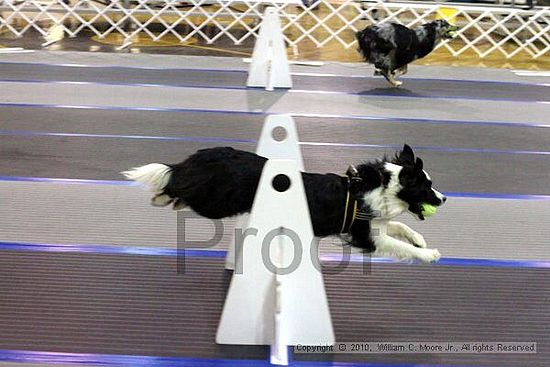 MCRD Unplugged Flyball Tournement<br />March 20th, 2010