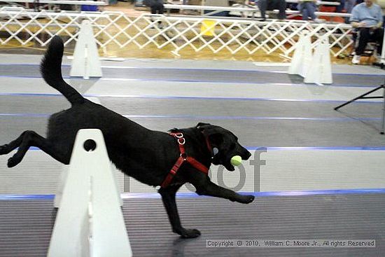 MCRD Unplugged Flyball Tournement<br />March 20th, 2010