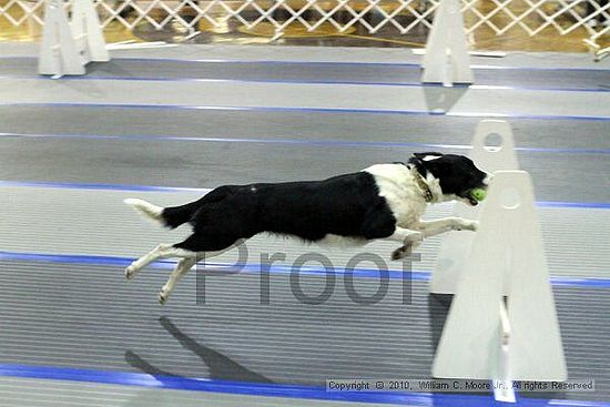 MCRD Unplugged Flyball Tournement<br />March 20th, 2010