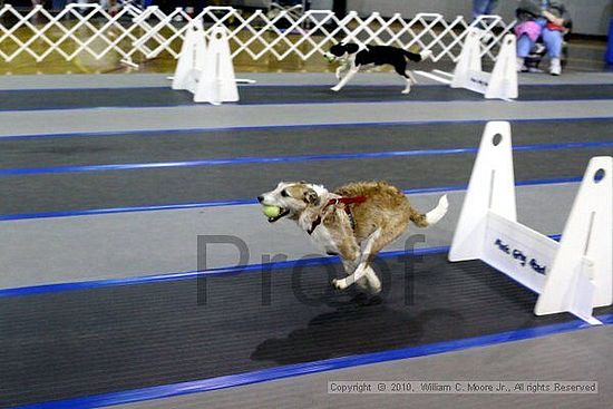 MCRD Unplugged Flyball Tournement<br />March 20th, 2010