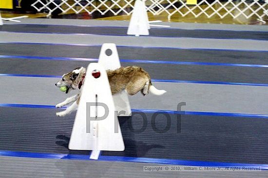 MCRD Unplugged Flyball Tournement<br />March 20th, 2010