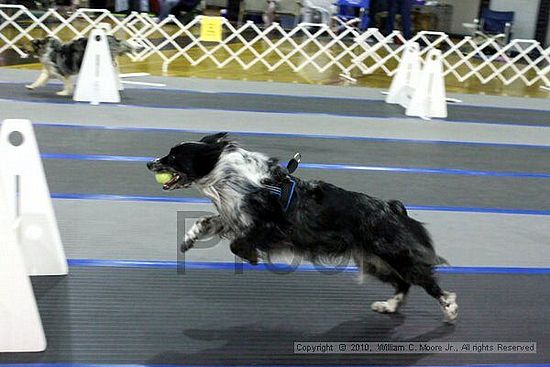 MCRD Unplugged Flyball Tournement<br />March 20th, 2010