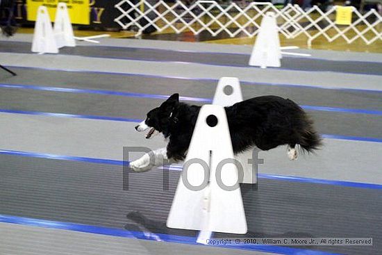 MCRD Unplugged Flyball Tournement<br />March 20th, 2010