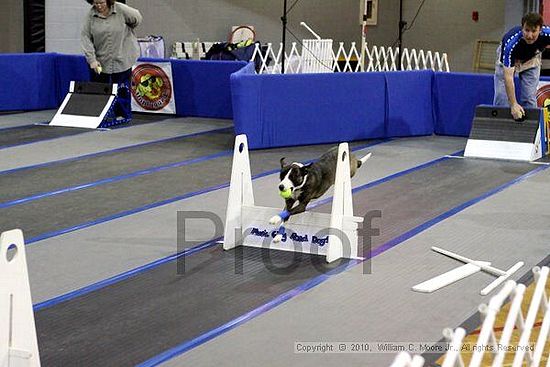 MCRD Unplugged Flyball Tournement<br />March 20th, 2010