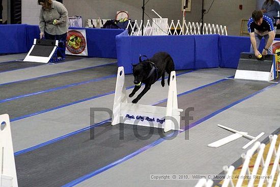 MCRD Unplugged Flyball Tournement<br />March 20th, 2010