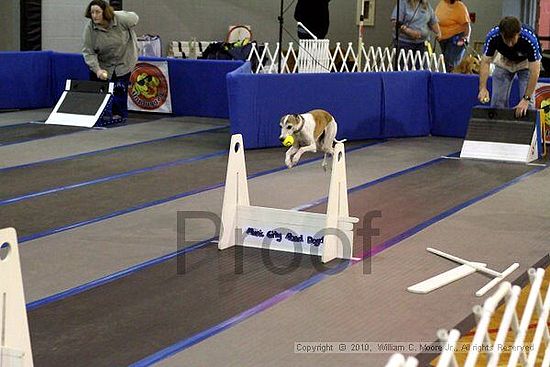 MCRD Unplugged Flyball Tournement<br />March 20th, 2010