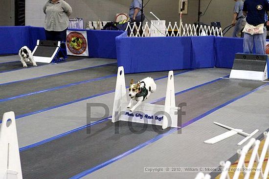 MCRD Unplugged Flyball Tournement<br />March 20th, 2010