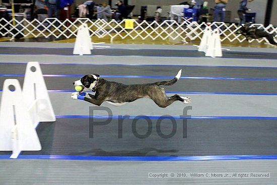 MCRD Unplugged Flyball Tournement<br />March 20th, 2010