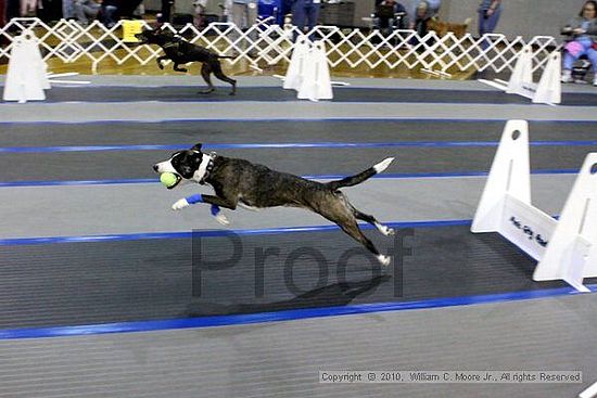 MCRD Unplugged Flyball Tournement<br />March 20th, 2010