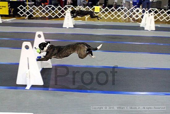 MCRD Unplugged Flyball Tournement<br />March 20th, 2010