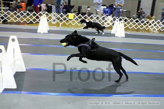 MCRD Unplugged Flyball Tournement<br />March 20th, 2010