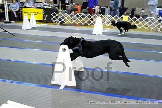 MCRD Unplugged Flyball Tournement<br />March 20th, 2010