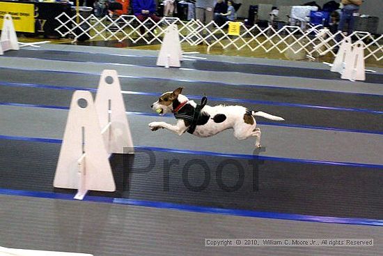 MCRD Unplugged Flyball Tournement<br />March 20th, 2010