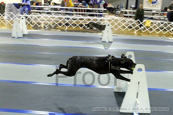 MCRD Unplugged Flyball Tournement<br />March 20th, 2010