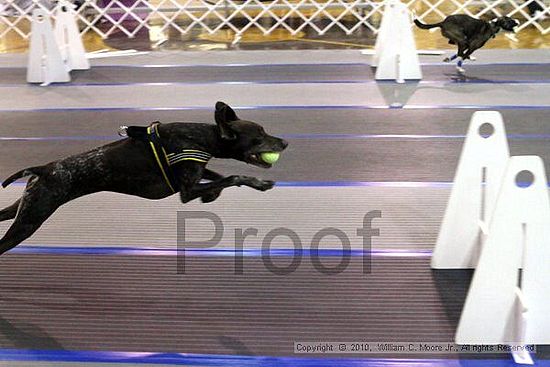 MCRD Unplugged Flyball Tournement<br />March 20th, 2010