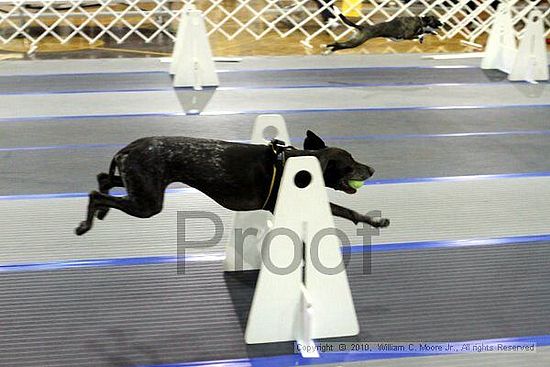 MCRD Unplugged Flyball Tournement<br />March 20th, 2010