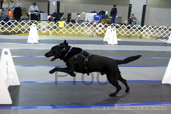 MCRD Unplugged Flyball Tournement<br />March 20th, 2010