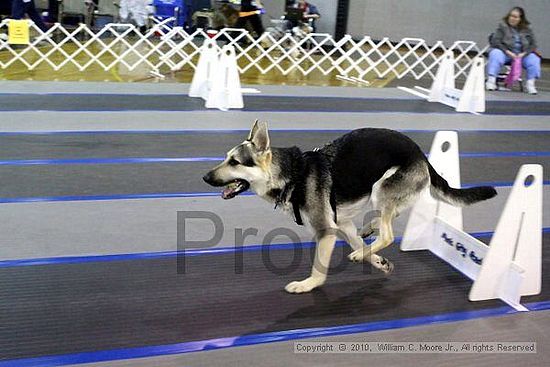 MCRD Unplugged Flyball Tournement<br />March 20th, 2010