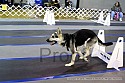 img_1968_thm.jpg