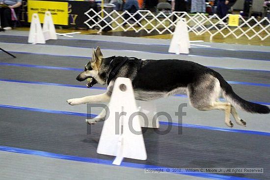 MCRD Unplugged Flyball Tournement<br />March 20th, 2010