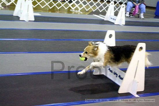 MCRD Unplugged Flyball Tournement<br />March 20th, 2010