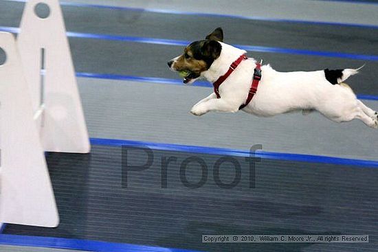 MCRD Unplugged Flyball Tournement<br />March 20th, 2010