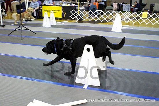 MCRD Unplugged Flyball Tournement<br />March 20th, 2010