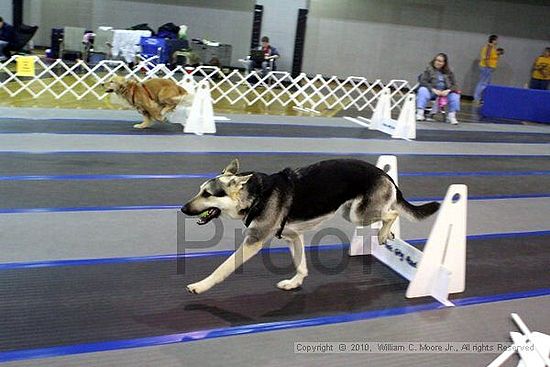 MCRD Unplugged Flyball Tournement<br />March 20th, 2010