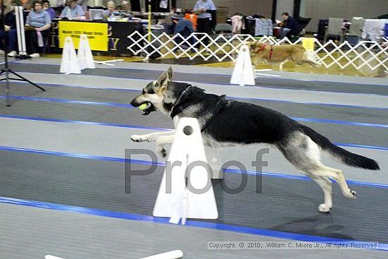 MCRD Unplugged Flyball Tournement<br />March 20th, 2010