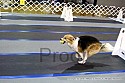 img_1987_thm.jpg