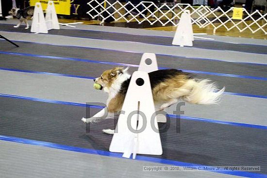 MCRD Unplugged Flyball Tournement<br />March 20th, 2010