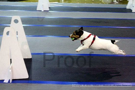 MCRD Unplugged Flyball Tournement<br />March 20th, 2010