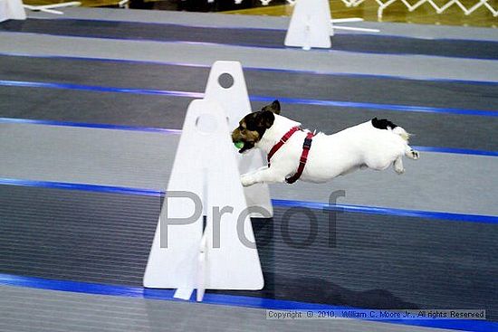 MCRD Unplugged Flyball Tournement<br />March 20th, 2010