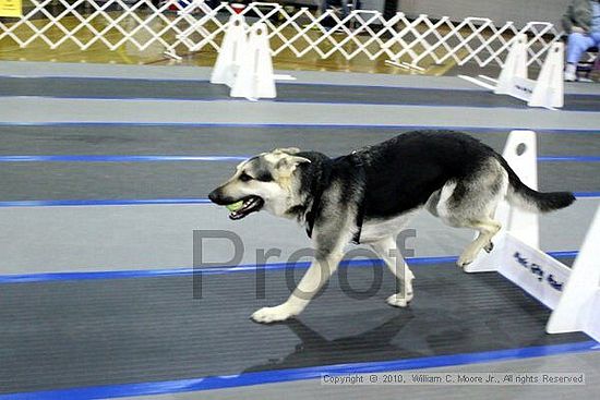 MCRD Unplugged Flyball Tournement<br />March 20th, 2010