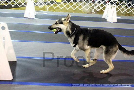 MCRD Unplugged Flyball Tournement<br />March 20th, 2010