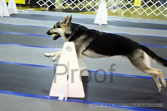 MCRD Unplugged Flyball Tournement<br />March 20th, 2010