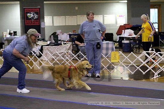 MCRD Unplugged Flyball Tournement<br />March 20th, 2010