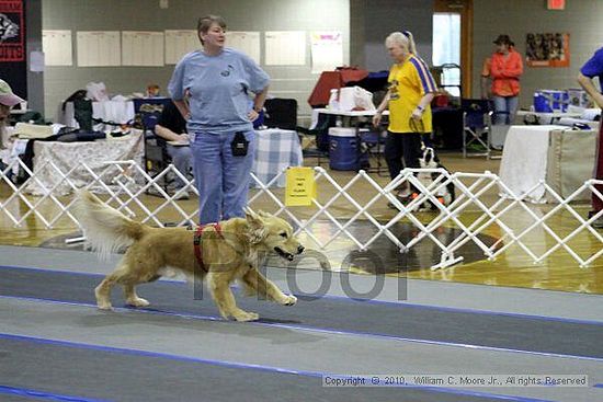 MCRD Unplugged Flyball Tournement<br />March 20th, 2010