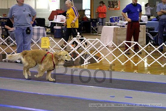 MCRD Unplugged Flyball Tournement<br />March 20th, 2010