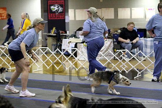 MCRD Unplugged Flyball Tournement<br />March 20th, 2010