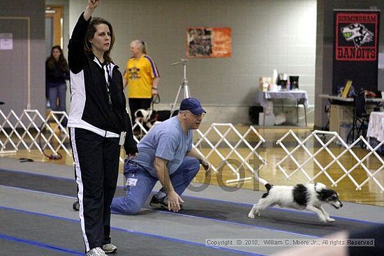 MCRD Unplugged Flyball Tournement<br />March 20th, 2010